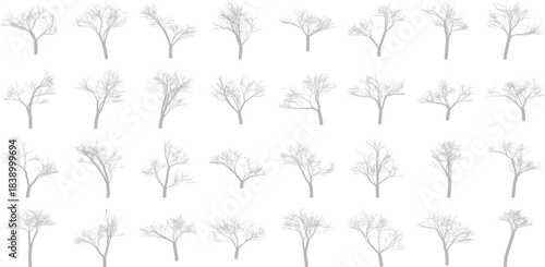 Collection of diverse bare tree silhouettes representing various leafless deciduous trees and branches in winter season