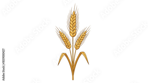 Illustration of golden wheat ears symbolizing agriculture and harvest