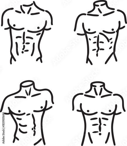Vector illustration: male torso abs anatomy - fitness, bodybuilding, muscle definition eps silhouette