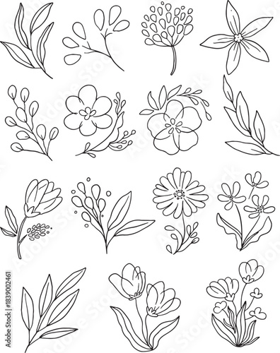 Super Mega Bundle: 100+ diverse hand-drawn vector botanical elements. This definitive collection features detailed wildflowers, abstract stems, leaves, and berries. Ideal for all creative projects.
