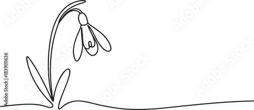 Beautiful minimalist continuous line art drawing of a single spring snowdrop flower with bulb and leaves