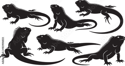 Set black silhouette tropical reptile iguana lizard poses various positions isolated background collection wild animal icon vector graphic.