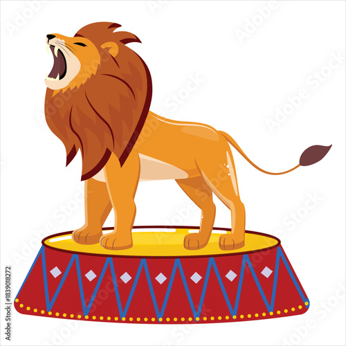 Angry cartoon lion roaring loudly on red circus pedestal, wild cat mascot illustration for posters, banners, invitations, children entertainment projects.