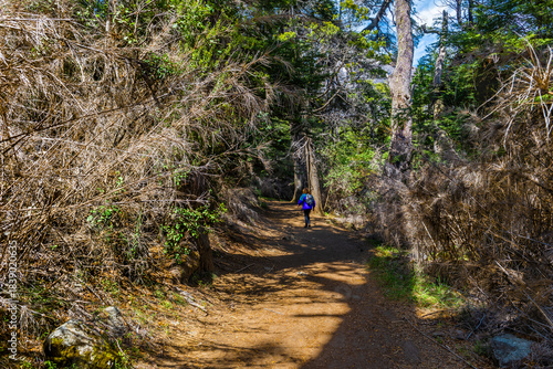 Arrayanes Trail, Lake Moreno West, Bariloch, Rio Negro Province, Argentine Patagonia.