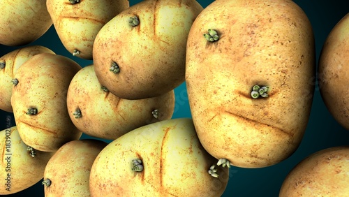 Potato food anatomy. 3d illustrations