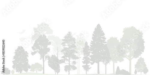Forest trees and various plants silhouette on white background vector illustration