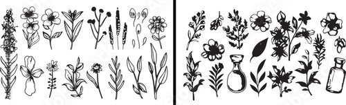 Floral line drawing, botanical flower vector, elegant floral artwork, nature floral design, hand drawn blossoms, botanical creativity pattern, garden flower art, detailed natural foliage, floral illus