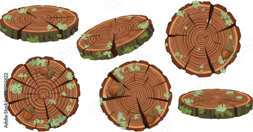 Rustic wooden tree ring slices with natural moss and acorns, organic forest elements
