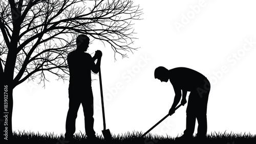Silhouette of two men digging soil under tree, performing outdoor labor, gardening work, ground preparation and landscape maintenance