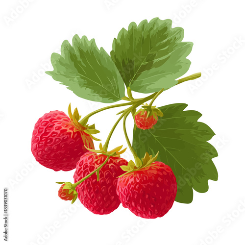Minimalist 2D vector icon representation of a Wild Strawberry, displayed on a pure white background