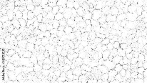 Irregular white cell pattern with fine black outlines for modern abstract backgrounds. Cracked white wall texture with subtle line details for minimalist design use. 
