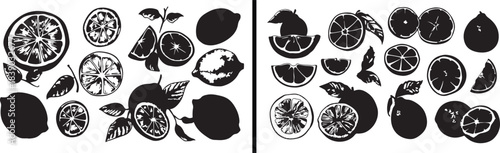 Citrus slice illustration, lemon vector design, tropical fruit artwork, citrus fruit drawing, healthy organic concept, juicy slice artwork, summer vitamin design, bright citrus element, fresh lemon ba