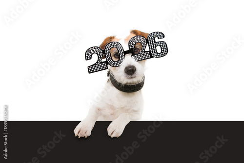 Dog new year with paws over black edge. wearing  glasses with the inscription 2026 on  white background