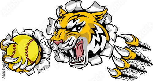 A wildcat or bobcat lynx bobcats wildcats sports team softball ball mascot