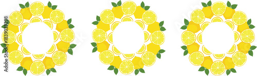 Decorative lemon citrus wreath circles set in colorful flat vector illustration style for food labels and logos
