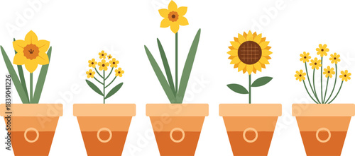 Potted spring flowers illustration set with blooming plants in cute flat vector style for home decor designs