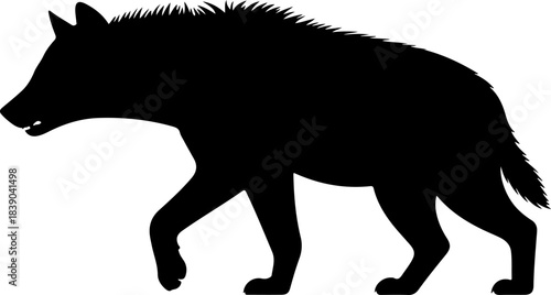 Hyena silhouette vector illustration