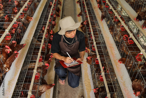 Farmer Inspecting Happy Hens in Modern Poultry Farm Ensuring Ethical and Sustainable Practices