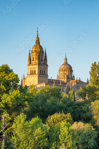 Tableau sur toile Historic cityscape of Salamanca at sunset, Spain