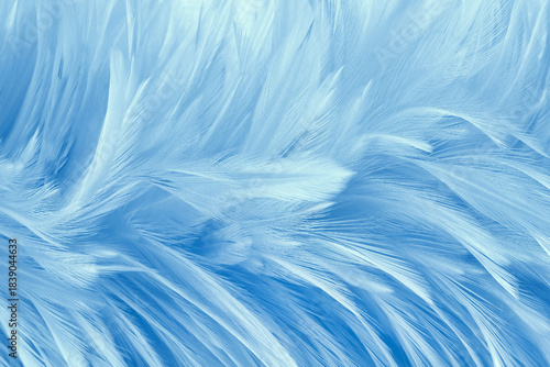 Beautiful blue pastel bird feathers pattern texture background.