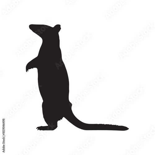 Black Silhouette of an Alert Meerkat Standing Upright on Hind Legs Isolated on White Background