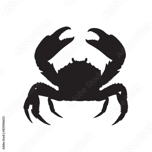 Mighty Crab Silhouette: Coastal Guardian with Claw Crescents, Sturdy Legs, Shadowed Seas
