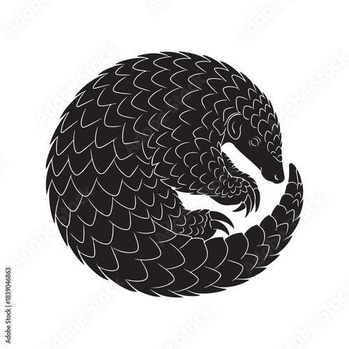 Serpentine Dragon Coil: Circular, Scaly Armor, Fiery Gaze, Mythical Guardian of Night