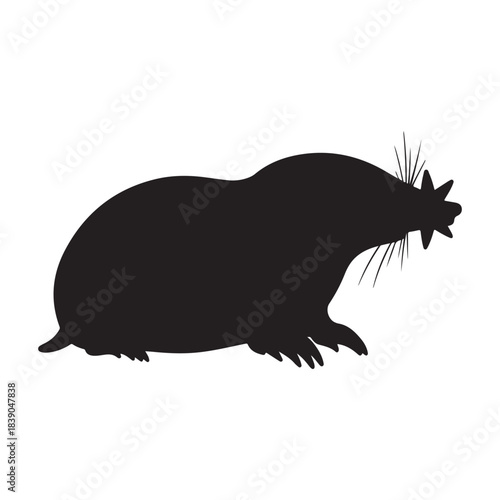 Playful Rat Silhouette: Plump, Whiskered Rodent Pauses Mid-Patrol, Curious, Cheeky, Inquisitive