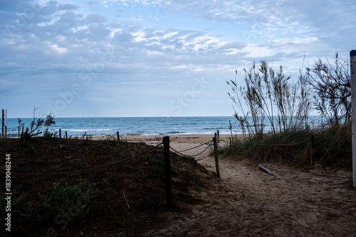 Sandy path leading to tranquil Pineto beach with calm Adriatic Sea waves under a cloudy sky in Abruzzo, Italy