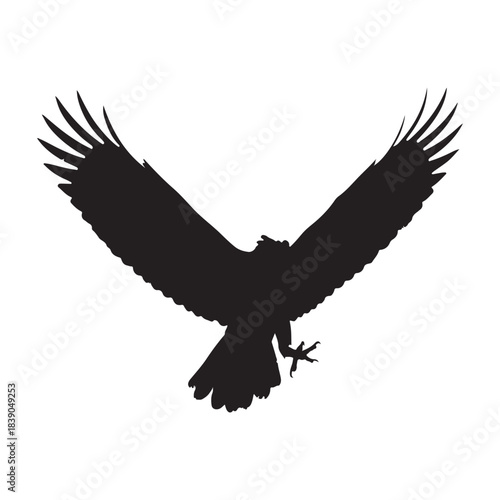 Soaring Eagle Silhouette: Wide Wingspread, Sharp Talons, Commanding Gaze Over Open Sky