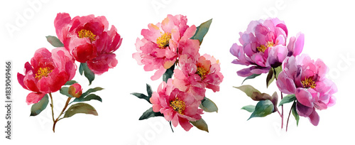 Soft pink watercolor flowers including peonies and garden roses. Vintage floral elements with green leaves and delicate petals, perfect for wedding cards and spring celebrations.