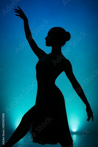 A silhouette of a classical dancer in a dancing pose