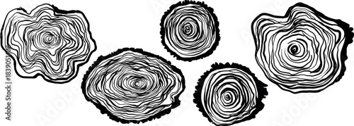 Minimal abstract tree-ring illustration in black, white, charcoal, perfect for Earth Day, Eco events, and nature-themed branding. Vector illustration