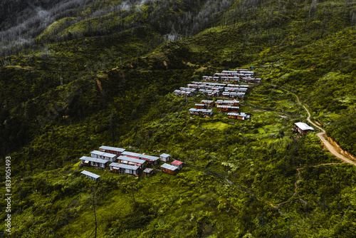 Aerial view of village houses nestled among the green hillsides and winding paths, creating a vibrant tapestry of nature and habitation, Paro, Bhutan.