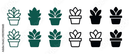Variety of succulent plant icon designs in different colors and styles