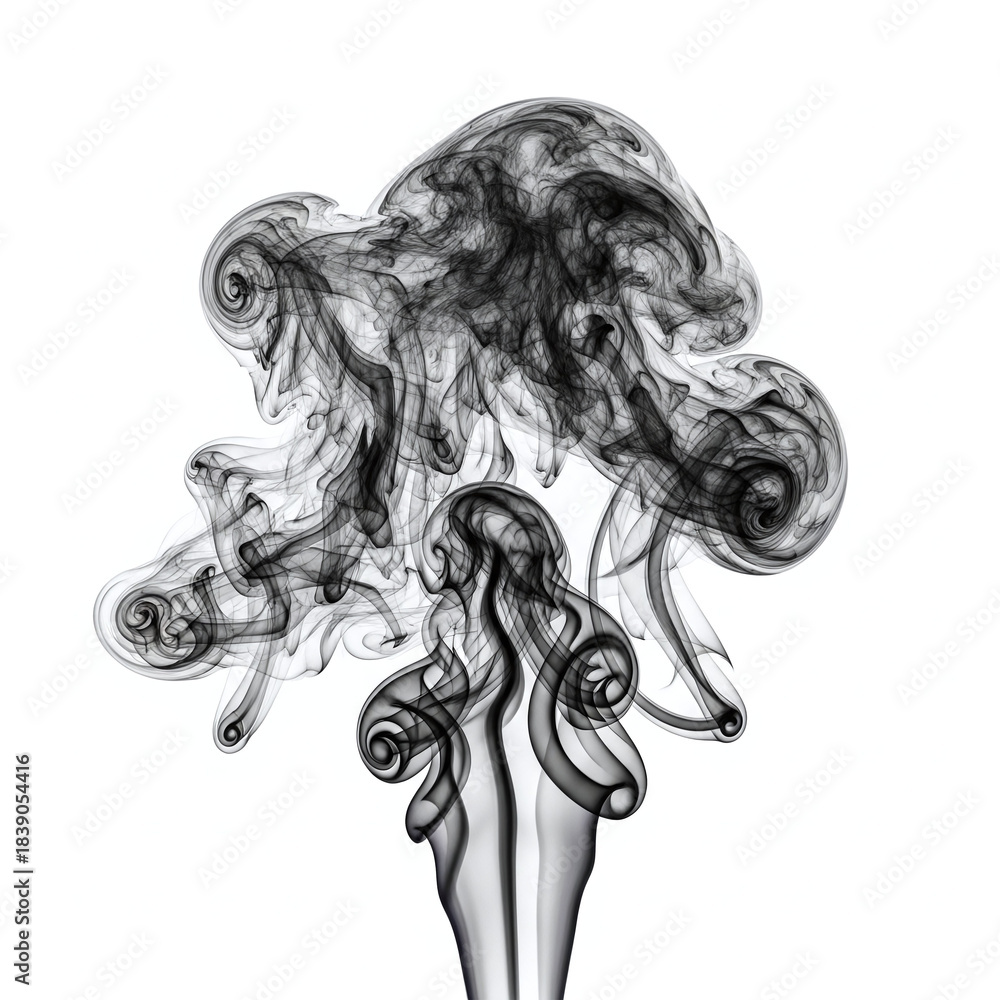 Fototapeta premium black and white smoke