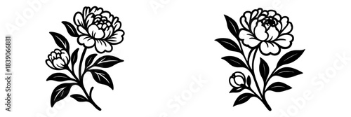 Elegant vector floral illustration featuring peonies and leaves