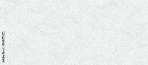 Grayscale Terrain Outline Detailed Abstract Topographic Map Pattern Featuring Fine Gray Contour Lines on Light Gray white Background.