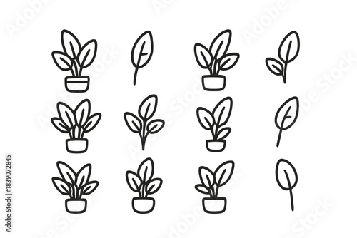 Set of simple outline icons depicting potted houseplants and single leaves
