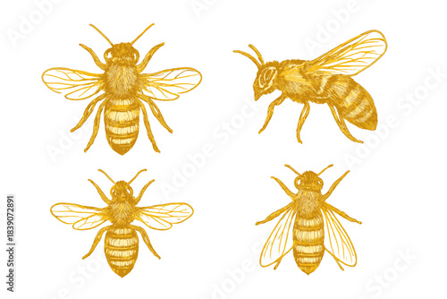 Four golden honey bees depicted from various perspectives