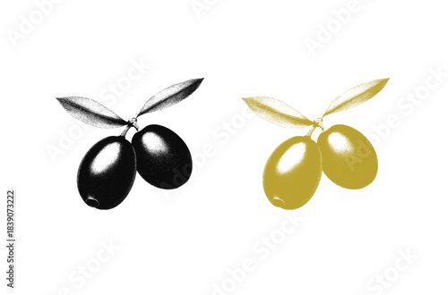 Green and black olive 