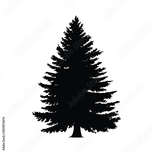 Coniferous Pine Spruce Evergreen Tree Silhouette Vector