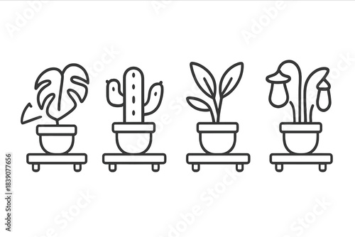 Four potted houseplant line icons illustrating different growth stages and types