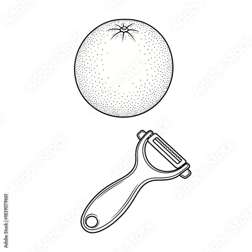 Orange and Peeler - Simple Line Drawing Illustration of Fruit and Kitchen Tool