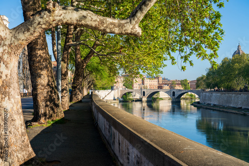 Photography Lungotevere (Italian for Tiber Waterfront) alley or boulevard running along the