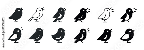 Set of twelve minimalistic bird silhouettes with varied designs and poses