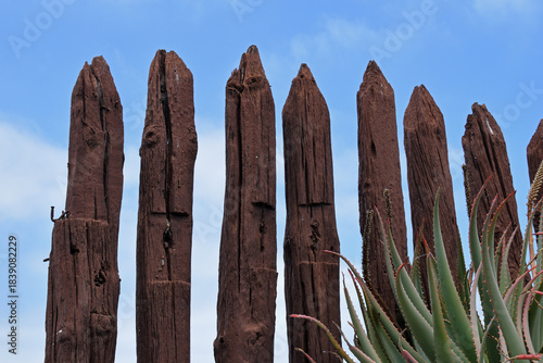 Old Spiked Timber Fence seen from Below against Blue Sky 