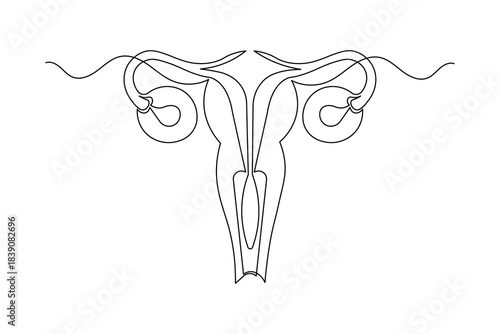 Female reproductive system organ continuous line drawing simple style