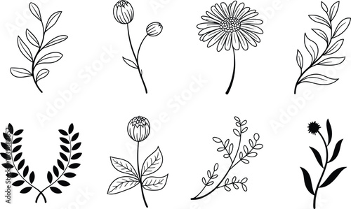 Set of hand-drawn black and white botanical elements, including leafy branches, flowers, buds, and a laurel wreath, nature doodle outline vector collection