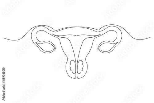 Human organ uterus continuous line drawing isolated minimalist element